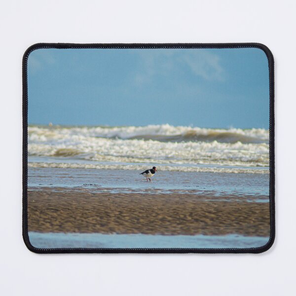 Item preview, Oystercatcher at Winchelsea Beach designed and sold by Compelling2011.
