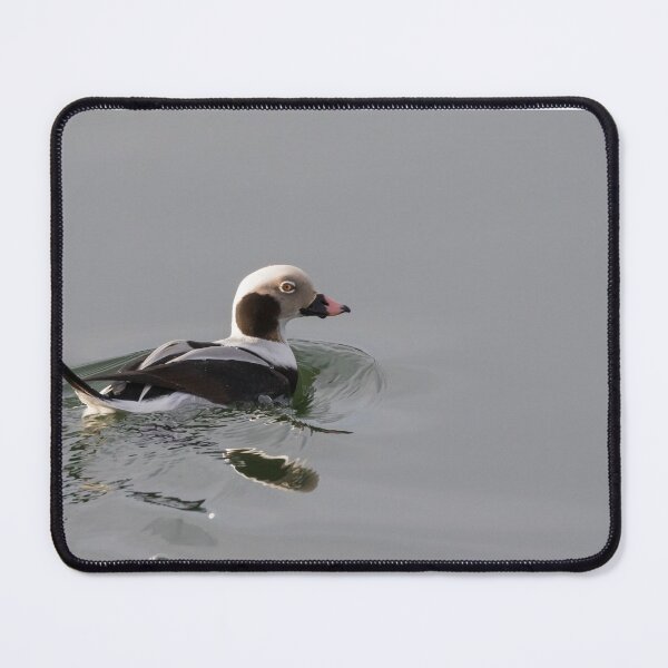 Item preview, Long Tailed Duck designed and sold by LaurenTucker.