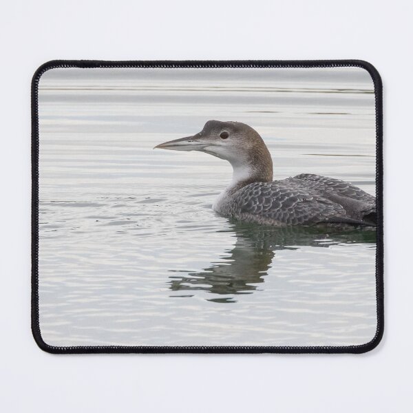 Item preview, Great Northern Diver designed and sold by LaurenTucker.