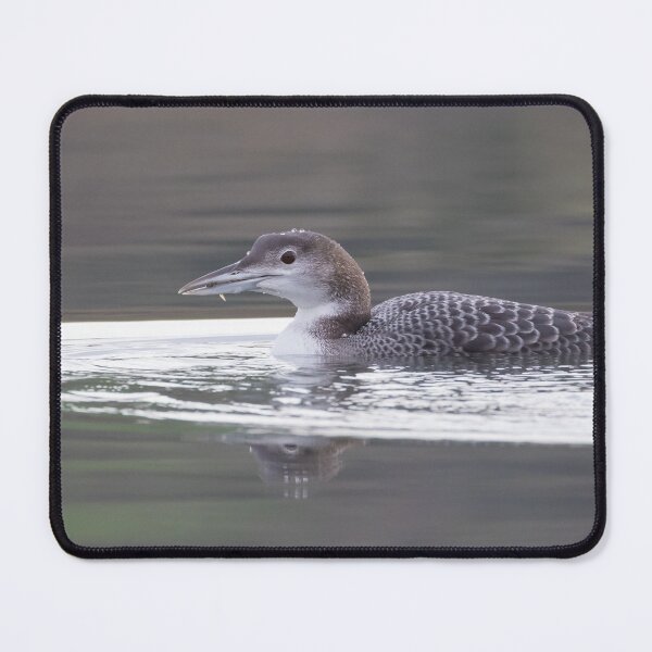 Item preview, Great Northern Diver designed and sold by LaurenTucker.