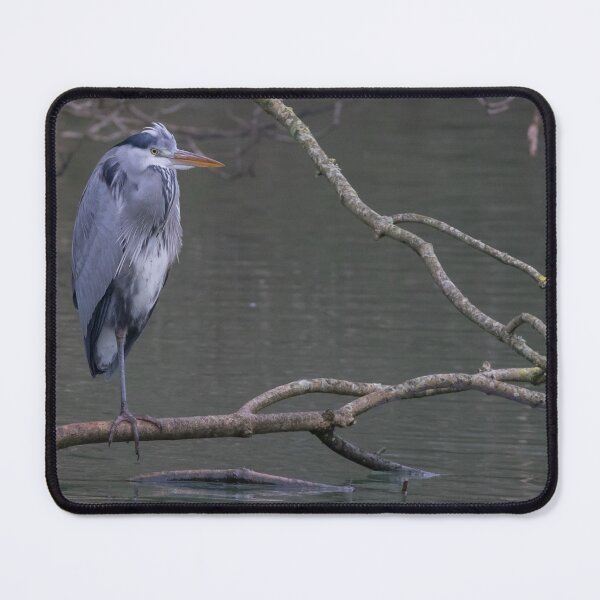 Item preview, Grey Heron designed and sold by LaurenTucker.