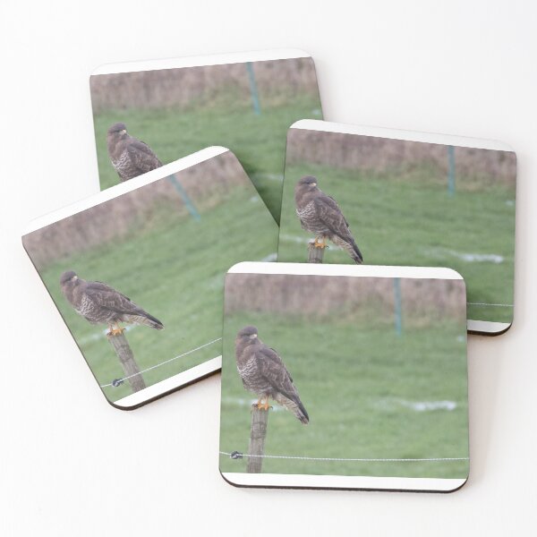 Item preview, Buzzard designed and sold by LaurenTucker.
