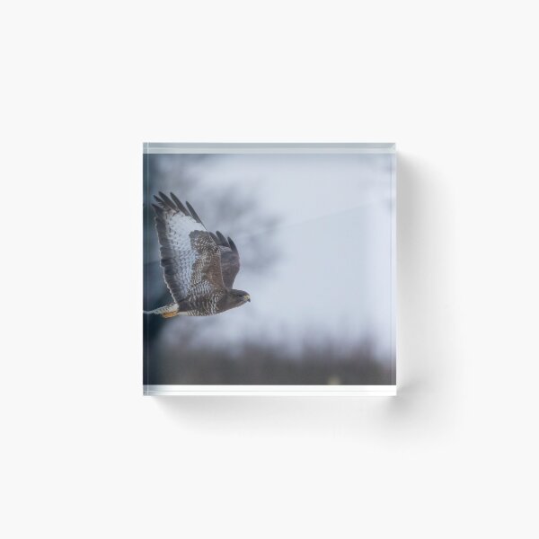 Item preview, Buzzard designed and sold by LaurenTucker.