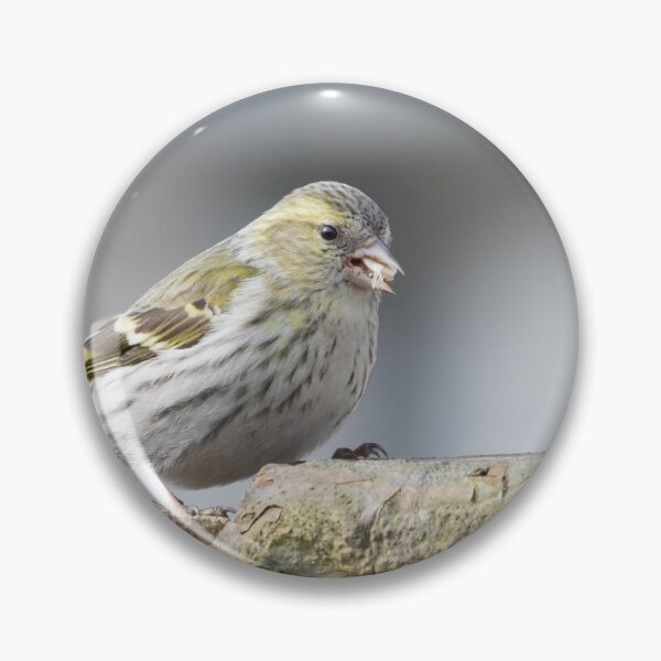 Item preview, Siskin designed and sold by LaurenTucker.