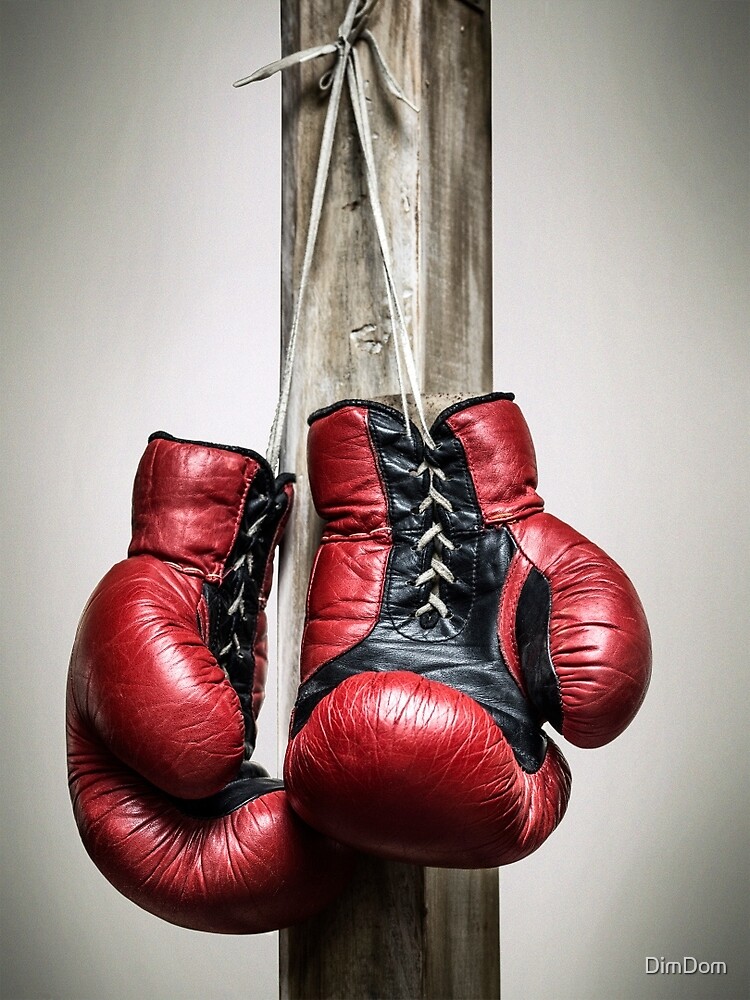 "Red, vintage boxing gloves" Canvas Print by DimDom Redbubble
