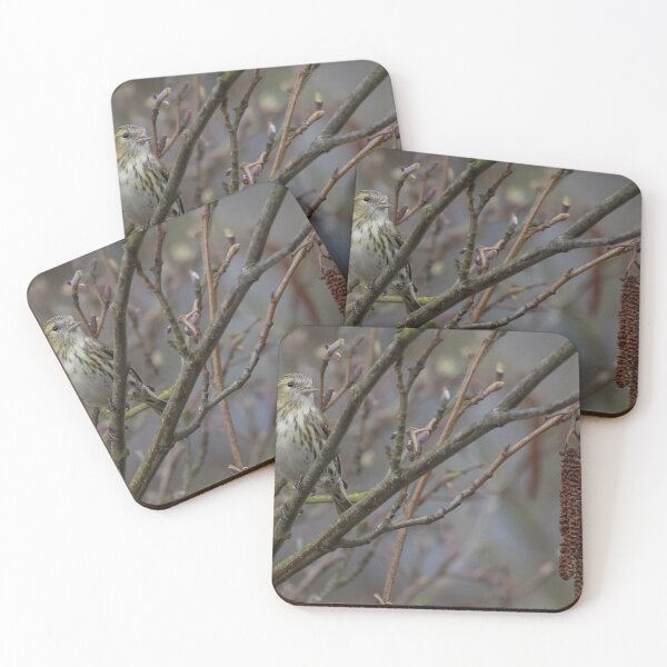 Item preview, Siskin designed and sold by LaurenTucker.