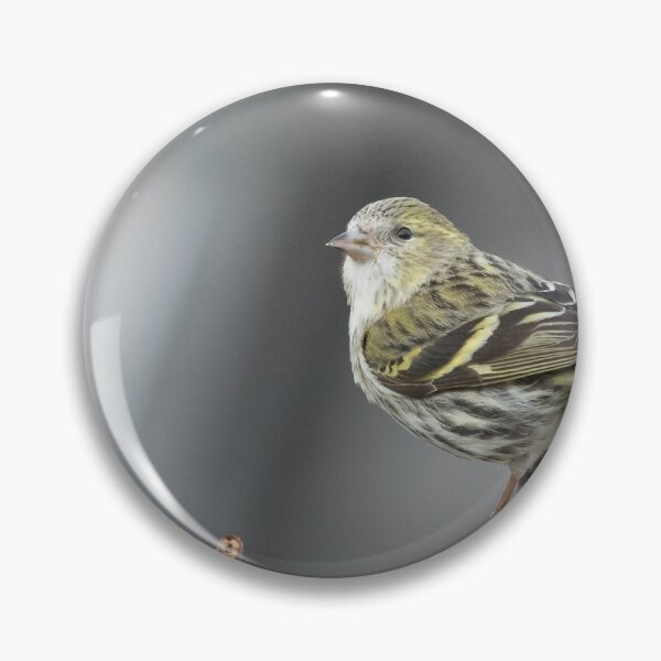Item preview, Siskin designed and sold by LaurenTucker.