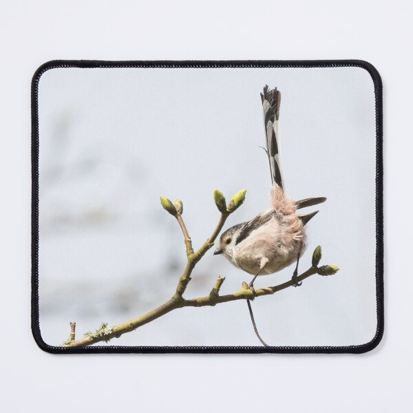 Item preview, Long Tailed Tit designed and sold by LaurenTucker.