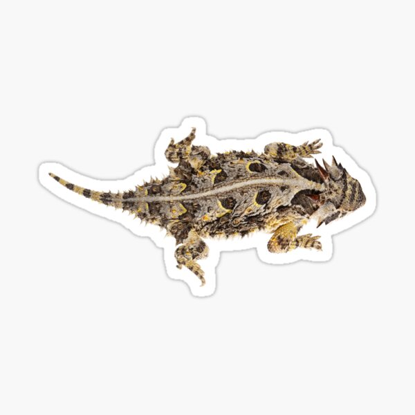 Item preview, Texas Horned Lizard designed and sold by spatterd.
