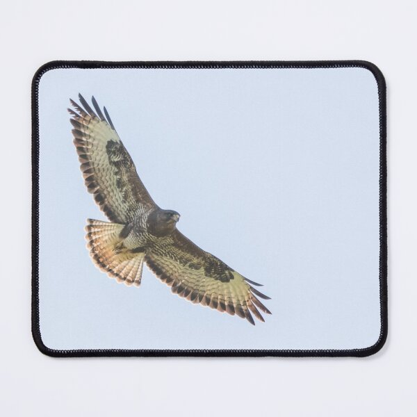 Item preview, Buzzard designed and sold by LaurenTucker.