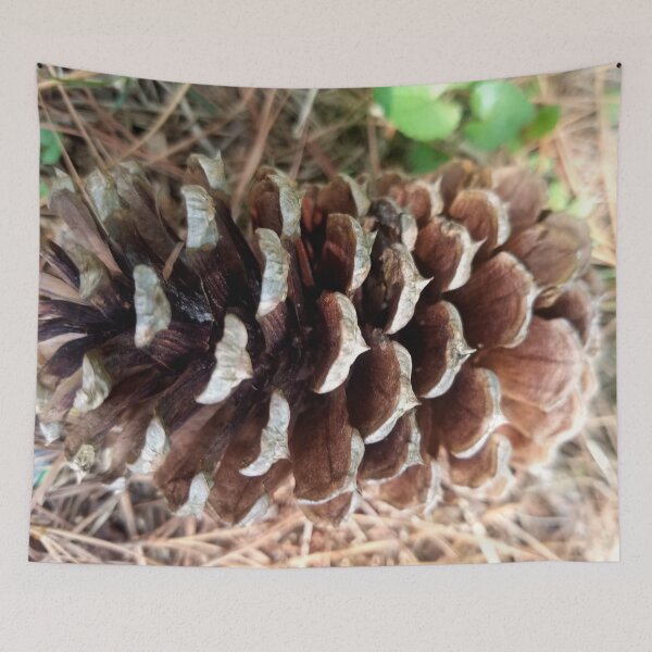 Item preview, Fall Pine Cone designed and sold by MooseDogPhotos.