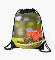 St Lucia Beauty Drawstring Bag