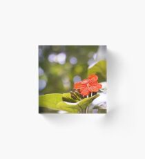 St Lucia Beauty Acrylic Block