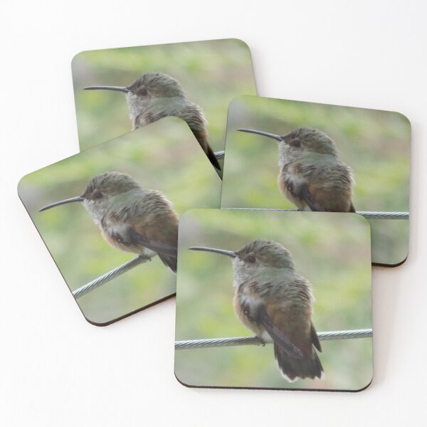 Artikelvorschau, Juvenile Kolibri Nahaufnahme entworfen und verkauft von DragonCGallery.