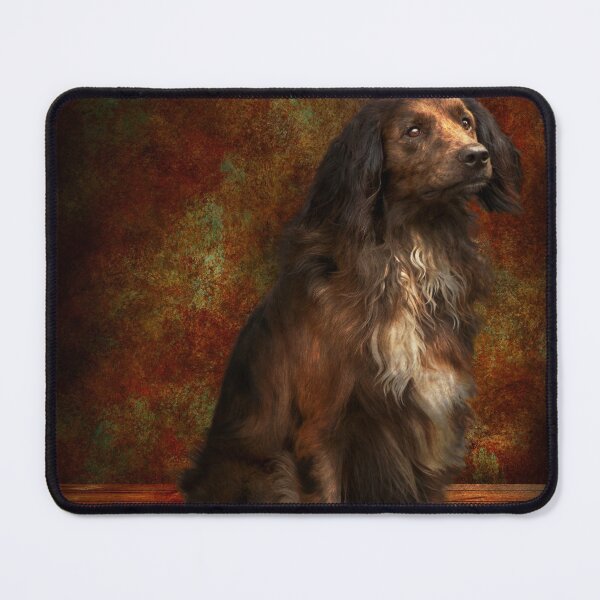 Item preview, Animal - Dog - Cocker Spaniel - Those dreamy eyes designed and sold by Mike Savad Photography.