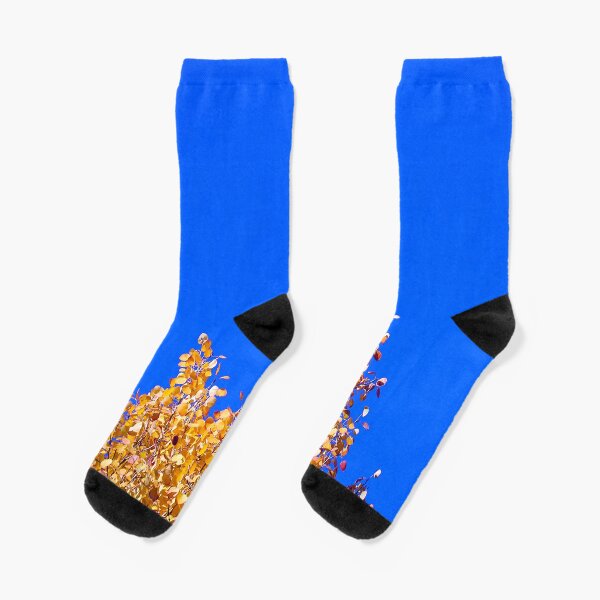 Yellow Leaves Blue Sky Socks