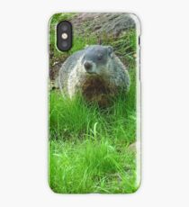 Chuckster iPhone Case