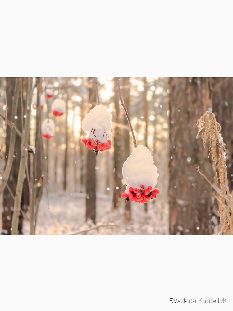 Rowan berries in the snow by SvetlanaKorneli