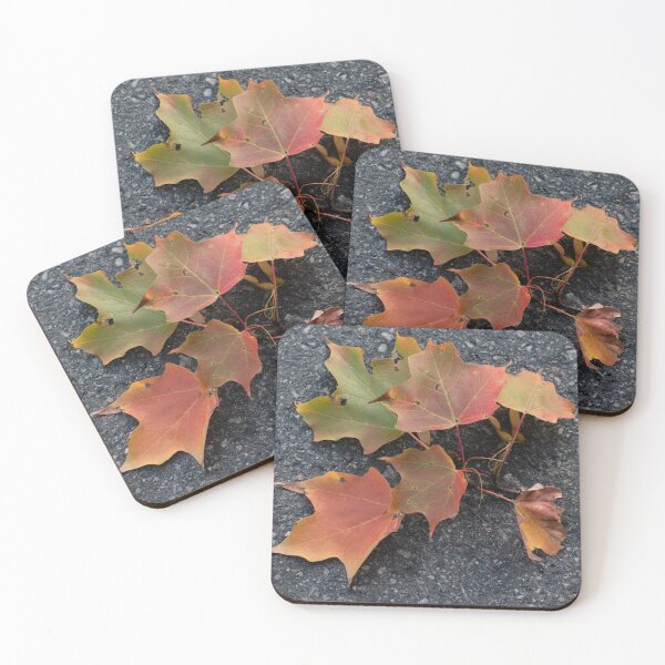 Item preview, Autumn Leaves Fallen on Gravel Path designed and sold by Gerda Grice Photography.