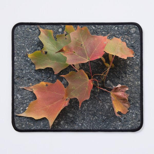 Item preview, Autumn Leaves Fallen on Gravel Path designed and sold by Gerda Grice Photography.