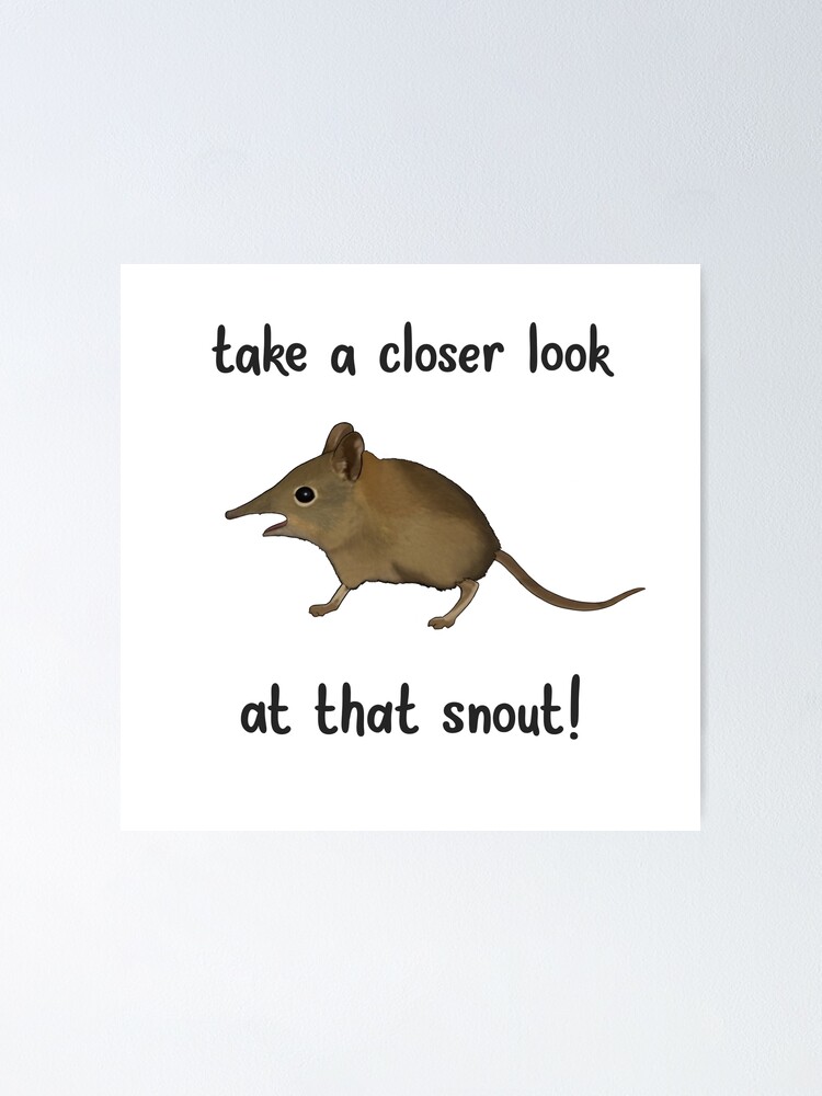 take-a-closer-look-at-that-snout-poster-for-sale-by-needlemouse