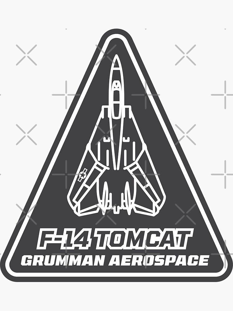 F-14 Tomcat by Aeronautdesign