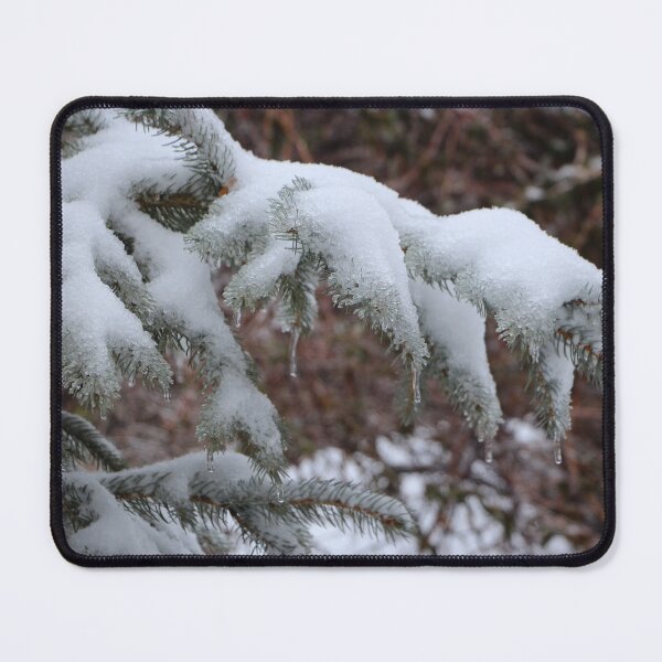 Item preview, Icy and Snow Covered Branch of Colorado Blue Spruce designed and sold by JariHawk.