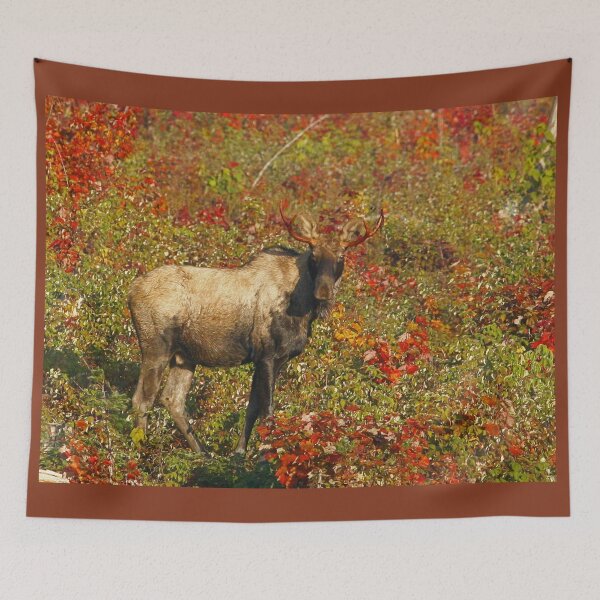 Item preview, Maine Piebald Moose in fall foliage designed and sold by Enola Gay Wagner.