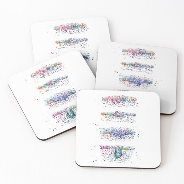 Item preview, Hair Follicle Growth Phases designed and sold by EvasDreams.