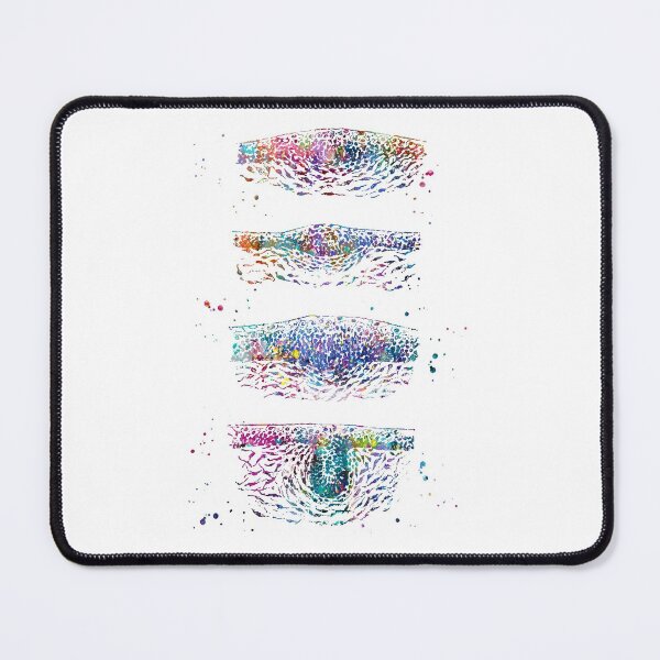 Item preview, Hair Follicle Growth Phases designed and sold by EvasDreams.