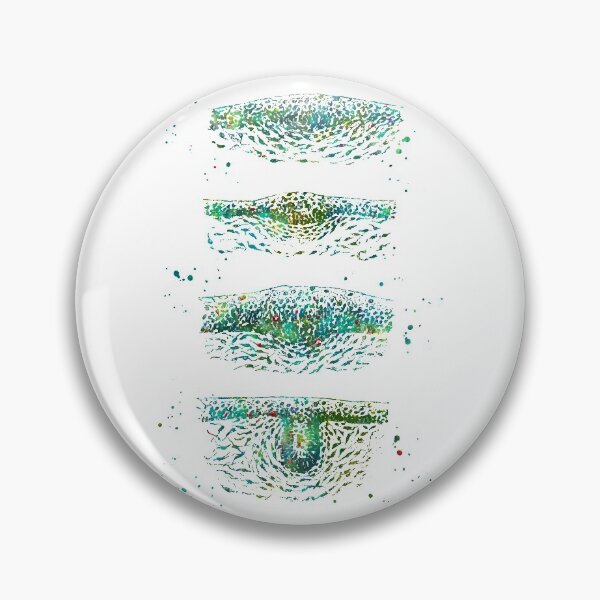 Item preview, Hair Follicle Growth Phases designed and sold by EvasDreams.