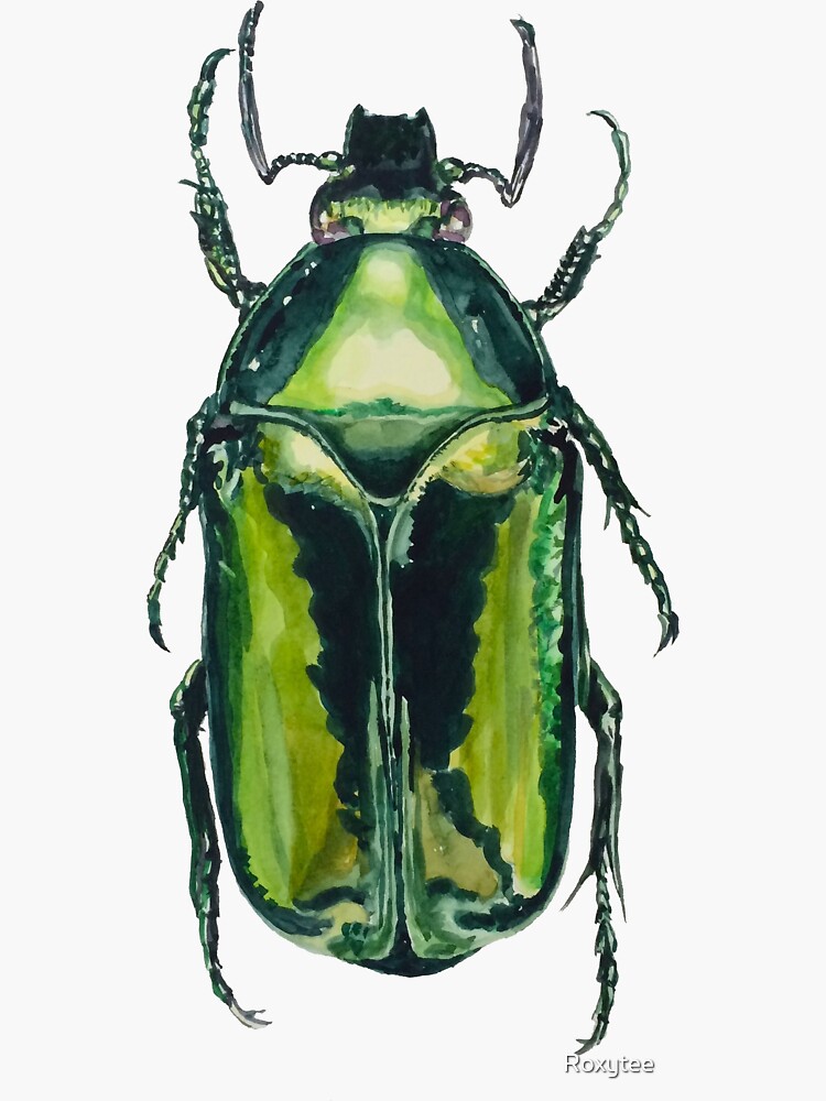 Thumbnail 3 of 3, Sticker, Green Scarab Beetle: Agestrata semperi female designed and sold by Roxytee.
