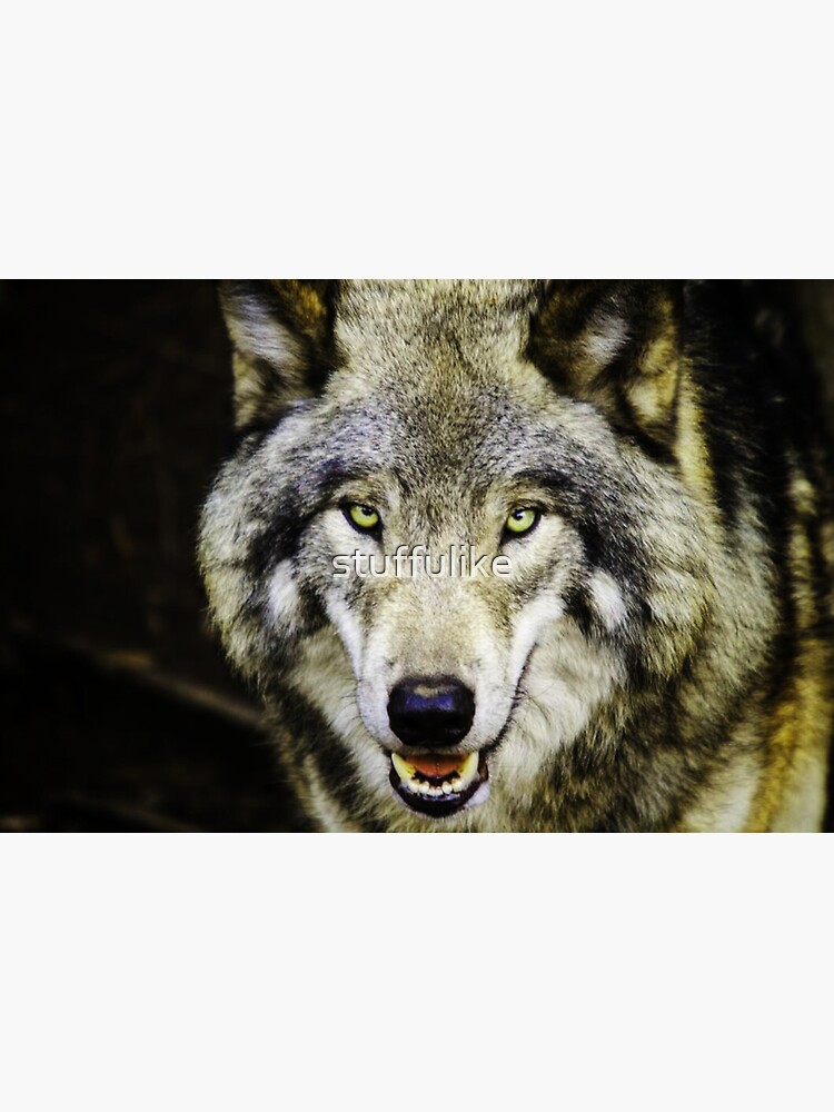 " Lone Wolf " Sticker By Stuffulike | Redbubble