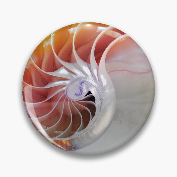 Item preview, In the snail shell designed and sold by Christine Mignon.