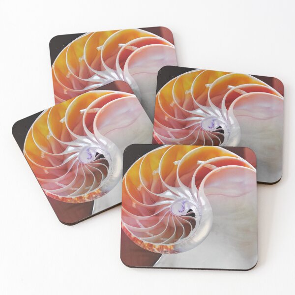 Item preview, In the snail shell designed and sold by Christine Mignon.
