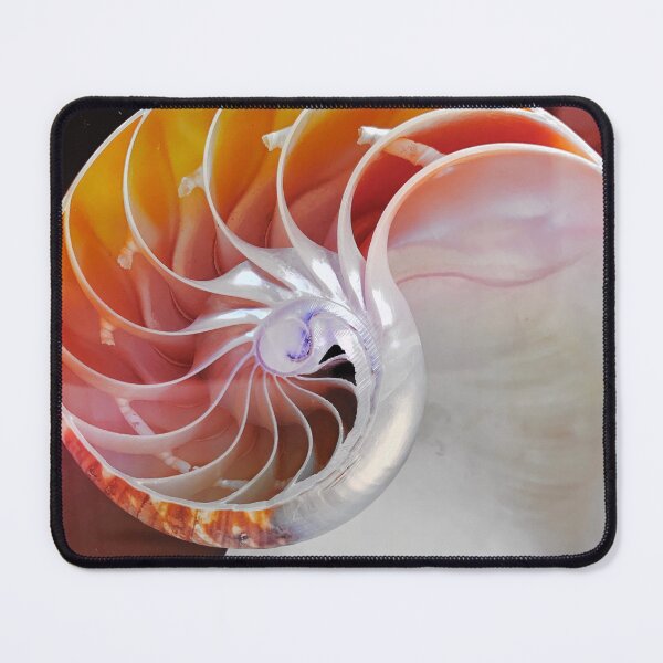 Item preview, In the snail shell designed and sold by Christine Mignon.