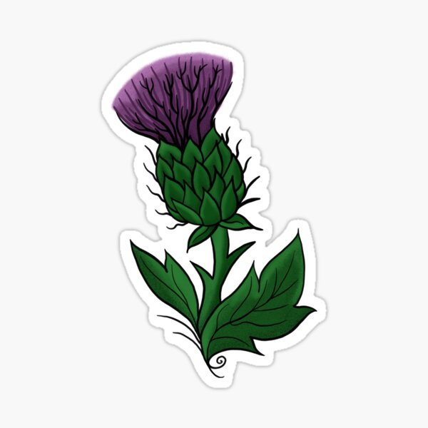 Freehand Scottish thistle. would love to do more like this please . . . . .  . . . ⋆ Studio XIII Gallery