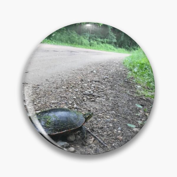 Item preview, Nontraditional turtle Christmas card designed and sold by GoudaKnight.