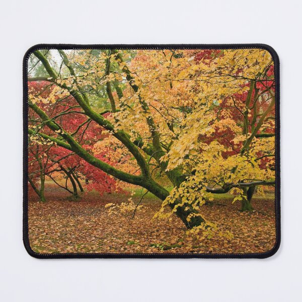 Item preview, Japanese Acer's designed and sold by Graham00.