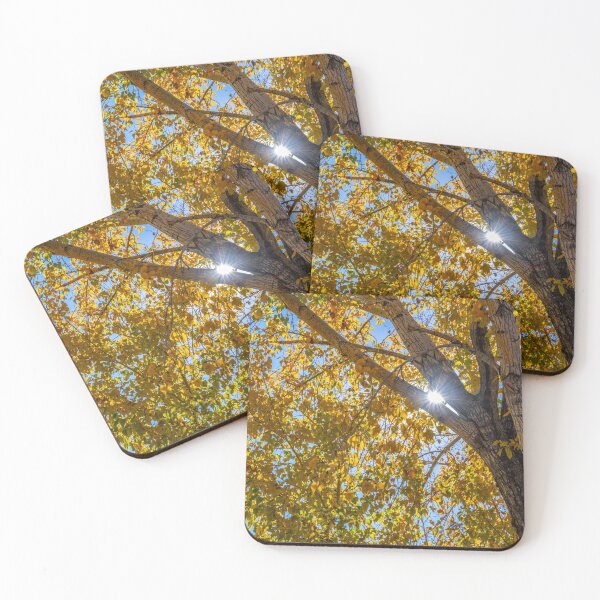 Item preview, Fall leaves designed and sold by TBirdPhotos.