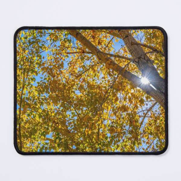 Item preview, Fall leaves designed and sold by TBirdPhotos.