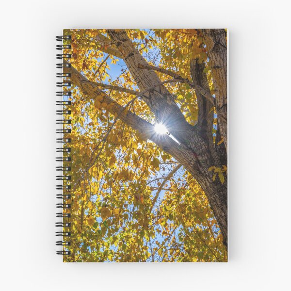 Item preview, Fall leaves designed and sold by TBirdPhotos.