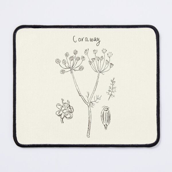 Item preview, Caraway Botanical Illustration designed and sold by sapiensfelis.