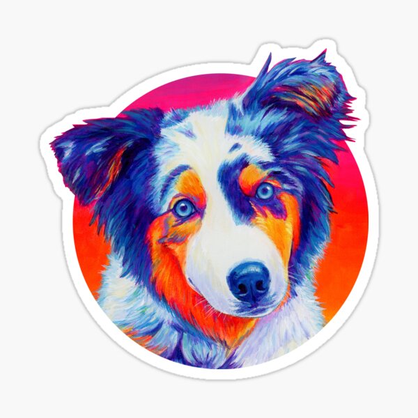 Lexi the Blue Merle Australian Shepherd Puppy Sticker