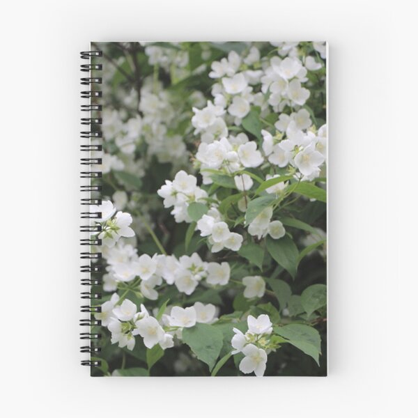Item preview, Mock Orange Shrub Bush White Flowers designed and sold by JariHawk.