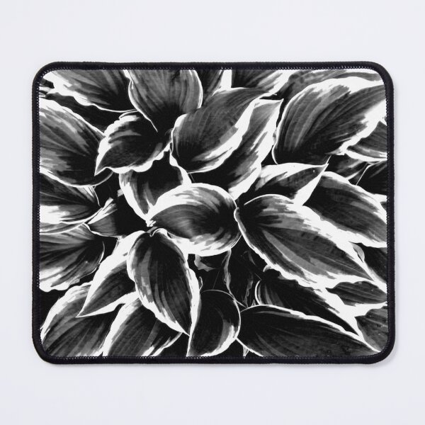 Item preview, Glorious Hosta Plant Black and White designed and sold by JariHawk.