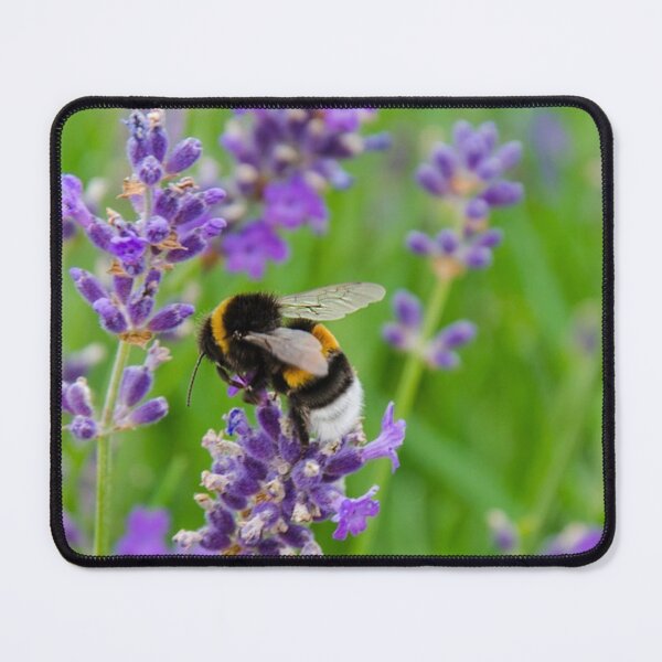 Item preview, Lavender Flowers Bumblebee. Cute Wild Purple Lavender Floral Botanical Garden Print designed and sold by silviaol.