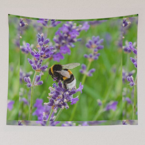 Item preview, Lavender Flowers Bumblebee. Cute Wild Purple Lavender Floral Botanical Garden Print designed and sold by silviaol.