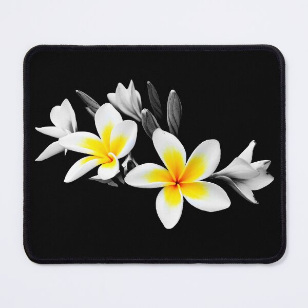 Item preview, Frangipani designed and sold by Helen Martikainen.