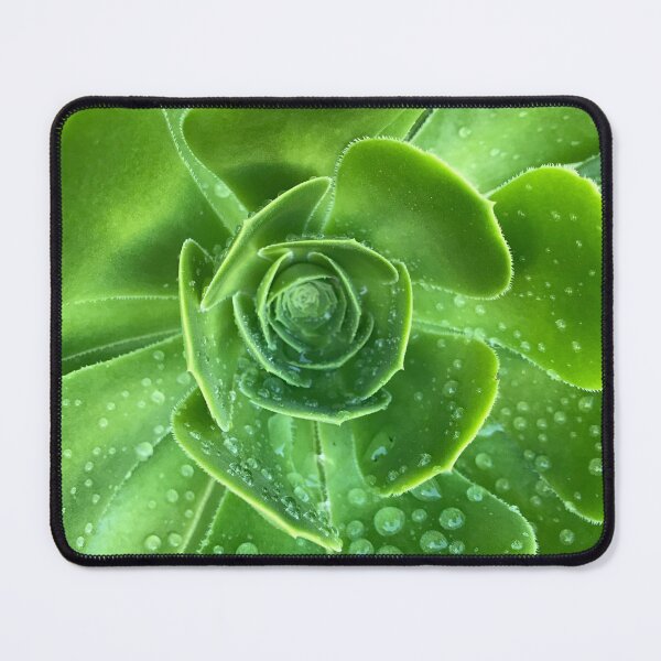 Item preview, Succulent designed and sold by GreenNote.